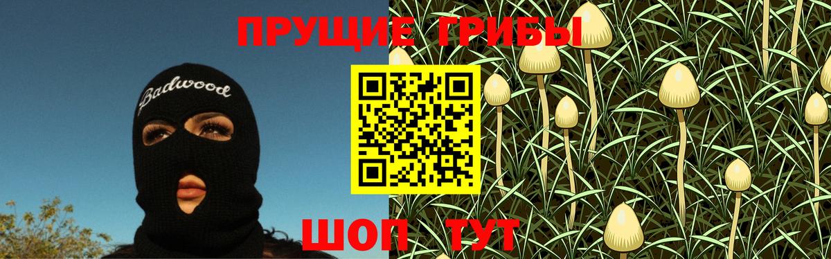 Белово  Псилоцибиновые грибы GOLDEN TEACHER  Вход с VPN 