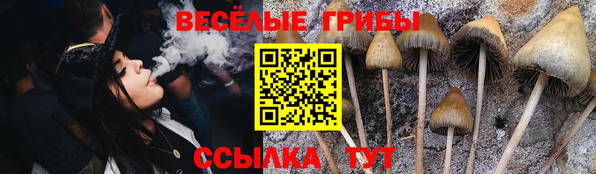 Псилоцибиновые грибы прущие грибы Белово